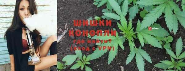 СК Абинск