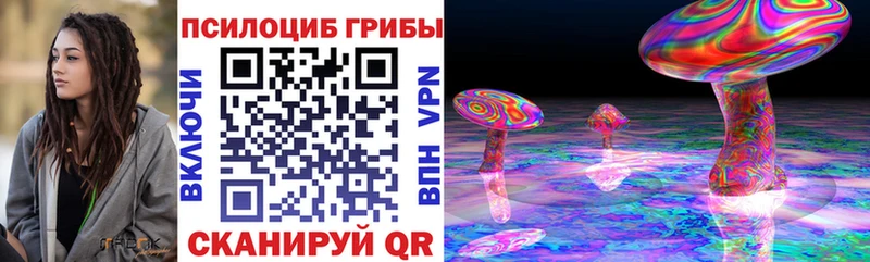 гидра зеркало  Владимир  Псилоцибиновые грибы мицелий  хочу  
